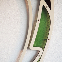 Walking stick - Diesbachia tamyris